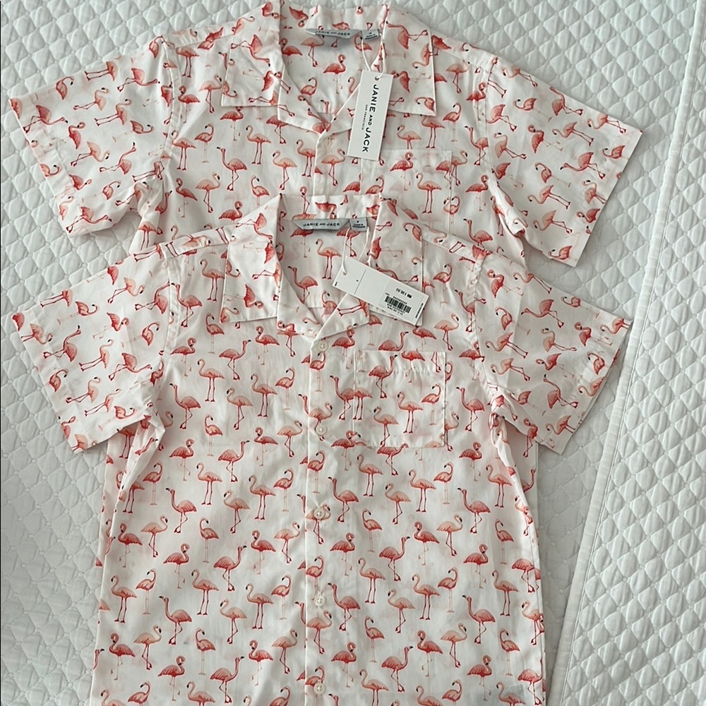 NWT boys sizes 8 & 10 brother match flamingo button down Janie & Jack tops (2).